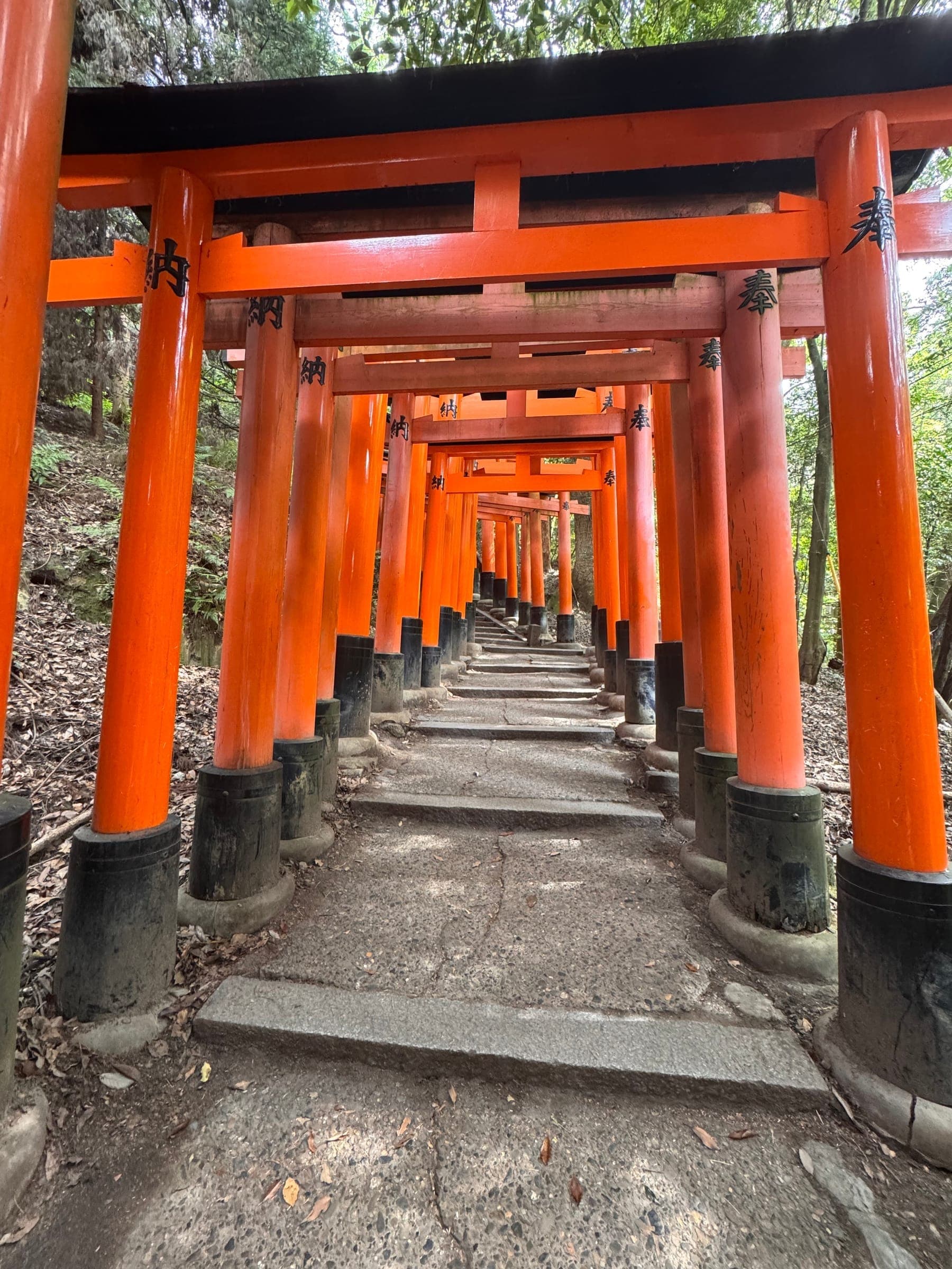 Fushimi Inari, soba e Round1