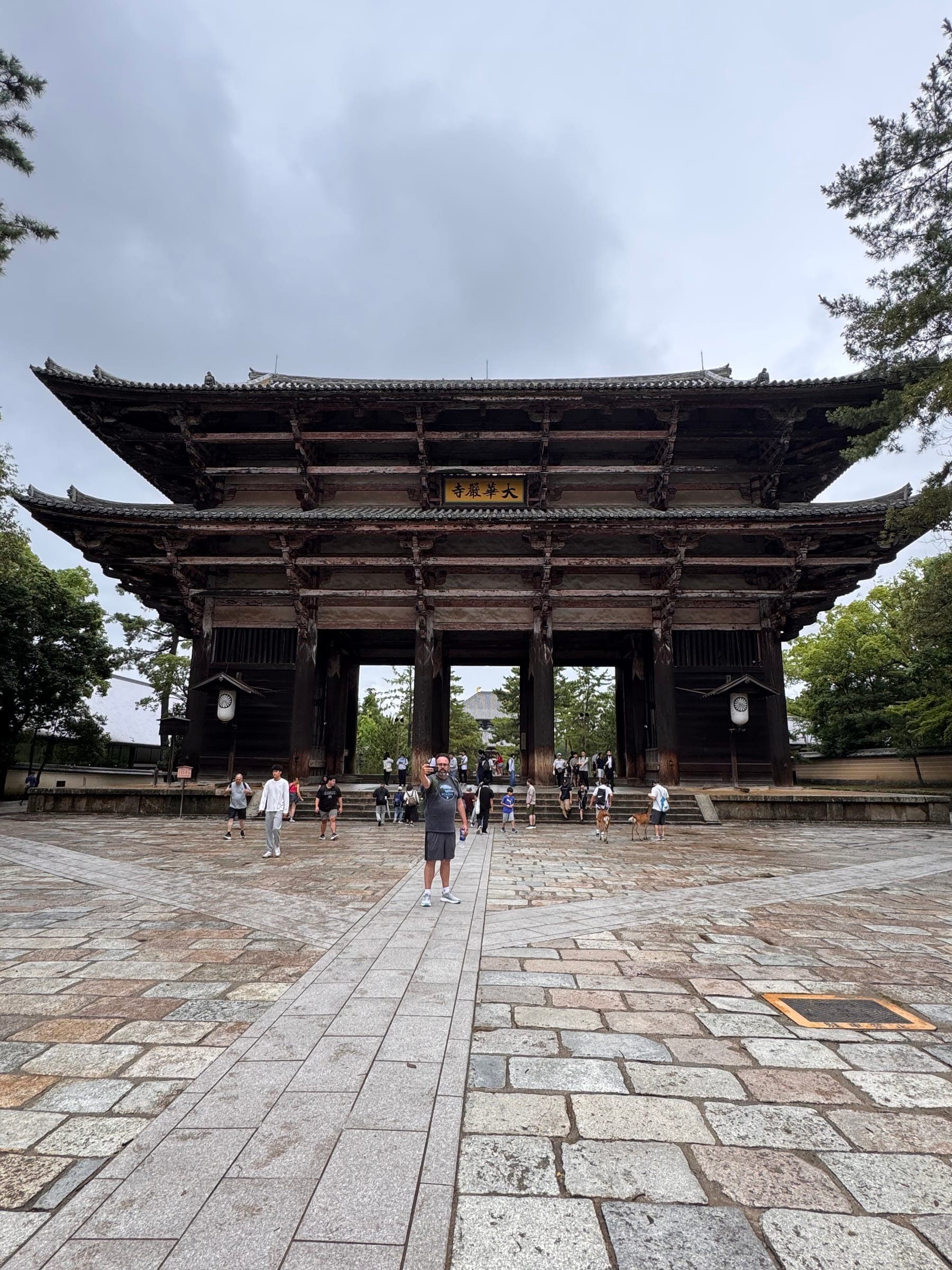 Nara: cervi, Buddha e ichigo ichie